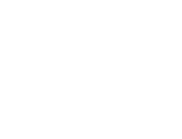 Focal Point Financial Solutions LLC