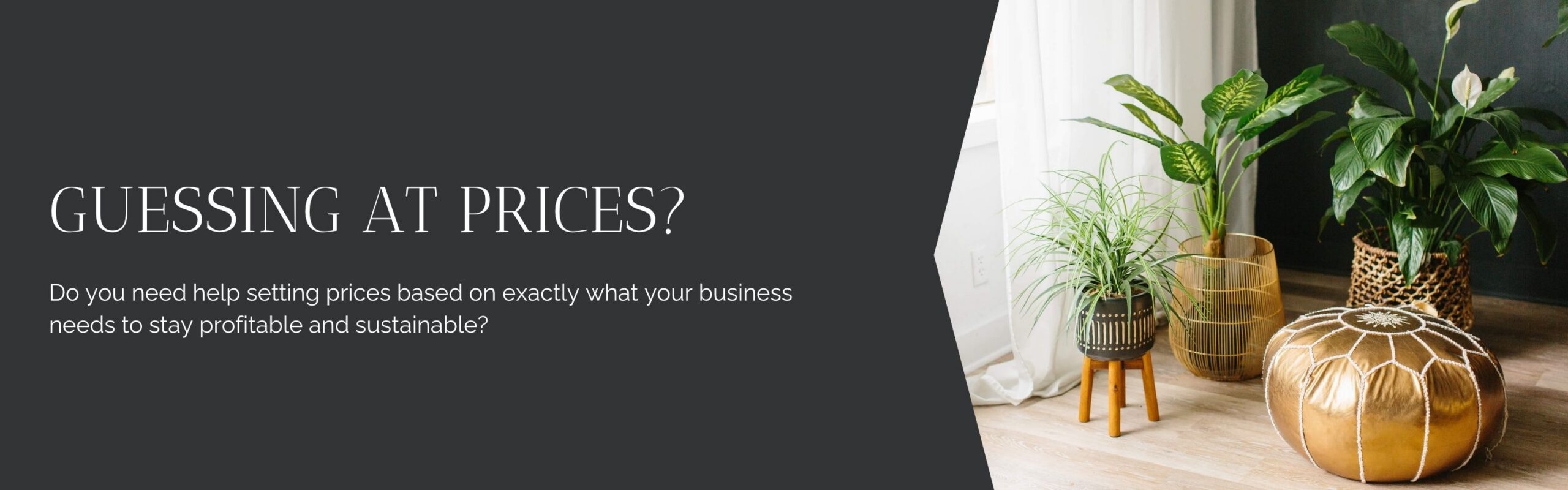 Guessing at prices? Do you need help setting prices based on exactly what your business needs to stay profitable and sustainable?